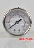 Oil-filled stainless steel pressure gauge of bottom connection