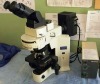 Olymp-us BX41 Fluorescence Phase Microscope