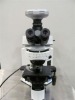 Olymp-us BX51 TRF Microscope
