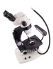 Optical microscope
