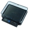 P281 Portable Digital Jewelry Scale