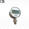 PD201/stainless steel Bar pressure gauges