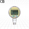 PD205/Ceramic or silicon pressure gauge with battery