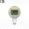 PD205/Ceramic or silicon pressure gauge with battery