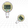 PD205/stainless steel digital pressure gauge