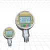 PD206/80MM Digital Pressure Gauge