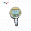PD206/80MM Digital Pressure Gauge
