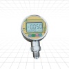 PD206 low consumption pressure gauge/with alarm