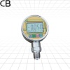 PD206 low consumption pressure gauge/with alarm