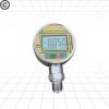 PD206 low consumption pressure gauge/with alarm