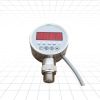 PD305/pressure controller with relay output