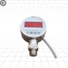 PD306/digital pressure controller with RS485