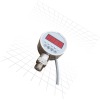 PD306/electronic pressure controller with relay output