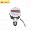 PD306 / pressure controller with relay output