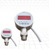 PD306/pressure gauge controller with relay output