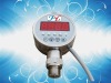 PDXXX SERIES /Difference types of digital gauge
