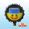 PG 808 Digital Tire Gauge