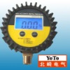 PG Series Digital Battery tire Pressure Gauge