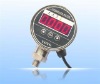 PG801E Digital Pressure Gauge with RS485