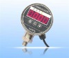 PG802E Digital Pressure Gauge