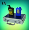 PGas-21-H2 Gas Leak Alarm