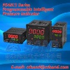 PS4812 Series Programmable Intelligent Pressure Indicator