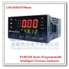 PS4812H Digital pressure gauge instruments