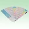 Pantone Color Guide GG1304