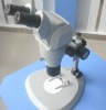 Parallel optics continous zoom stereo microscope with adjustable head