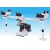 Penta Head Microscope