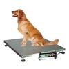 Pet Scale