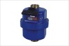 Piston water meter