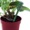 Plant Moisture Sensor