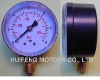 Plastic Casing Pressure Gauge