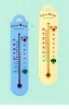 Plastic Thermometer with printing