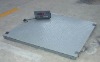 Platform Scale