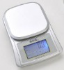 Pocket Scale