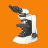 Polarizing Microscope