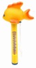 Pool Thermometer