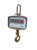 Portable Crane Scale(Capacity:50-1000kg)