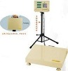 Portable Weighing Platform Scale/Floor Scale/300kg Platform Scale/Portable Scale