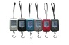 Portable hanging scale