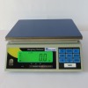 Precision Weighing Balance