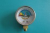 Pressure Gauge