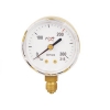 Pressure Gauge