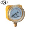 Pressure Gauge