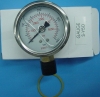 Pressure Gauge