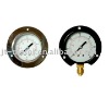 Pressure Gauge