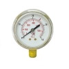 Pressure Gauge