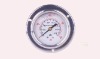 Pressure Gauge(SC-22)